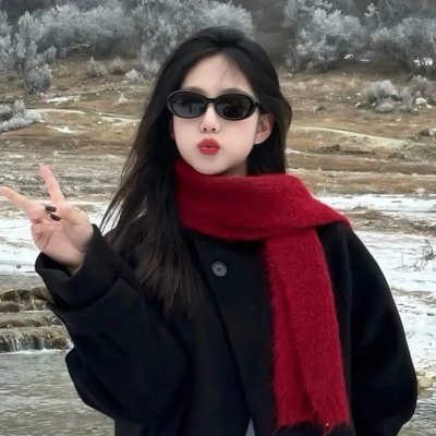 狗的生涯海报
