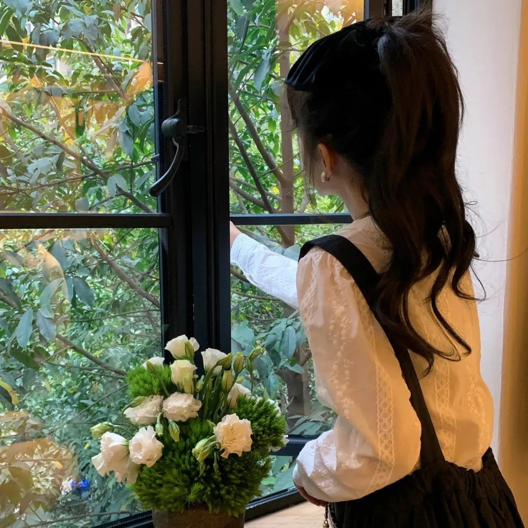 赤胆英雄海报