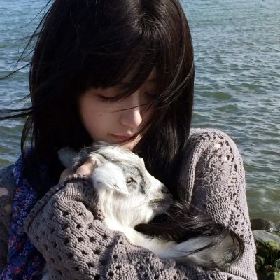 黄道吉日海报